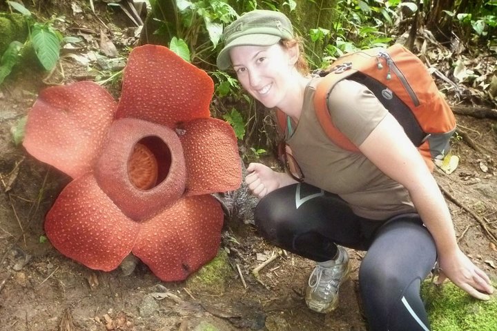 Rafflesia Trekking